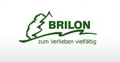 Logo Brilon