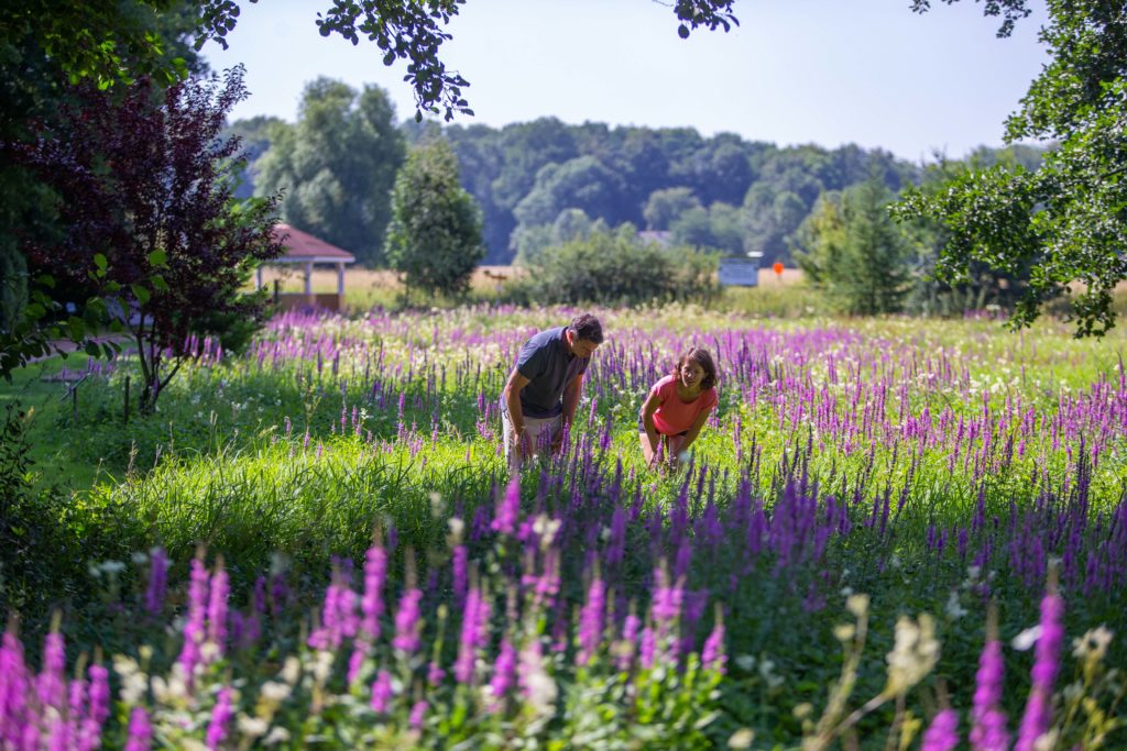 Teu­to­bur­ger Wald_Preussischer Oldendorf_Garten der Generationen_0121 © Tou­ris­mus NRW e.V. (A1)-min